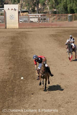 090406-Polo-0606
