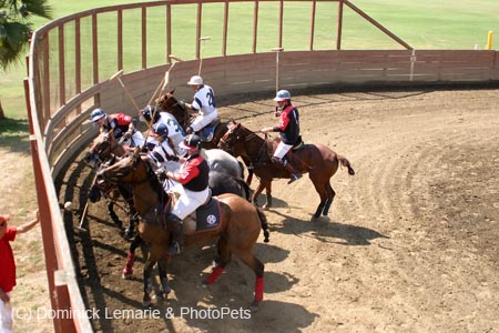 090406-Polo-0607