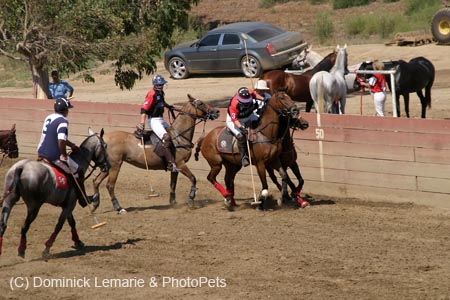 090406-Polo-0609