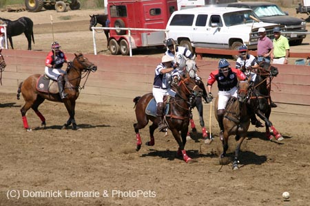 090406-Polo-0610