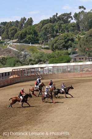 090406-Polo-0612