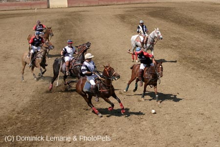 090406-Polo-0613