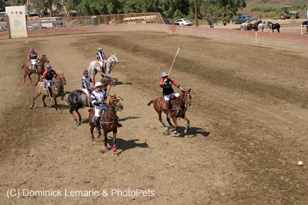 090406-Polo-0614