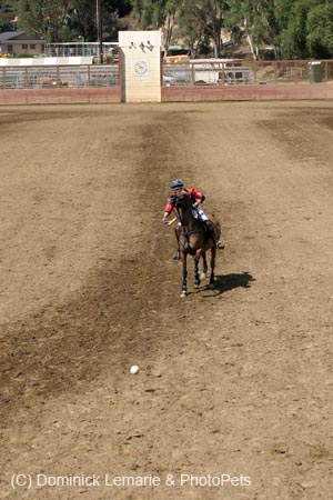 090406-Polo-0617