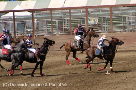 090406-Polo-0619