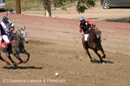090406-Polo-0621