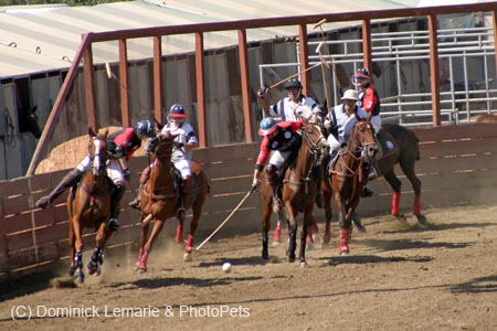 090406-Polo-0623