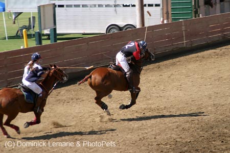 090406-Polo-0629