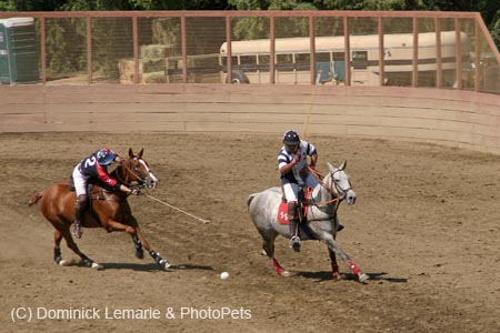 090406-Polo-0630
