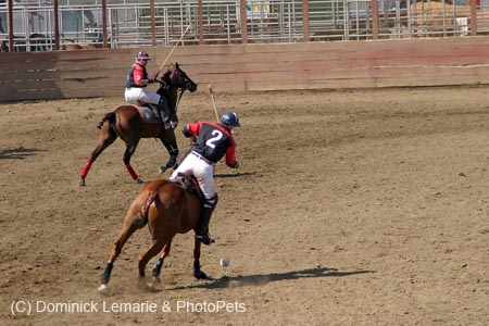 090406-Polo-0633