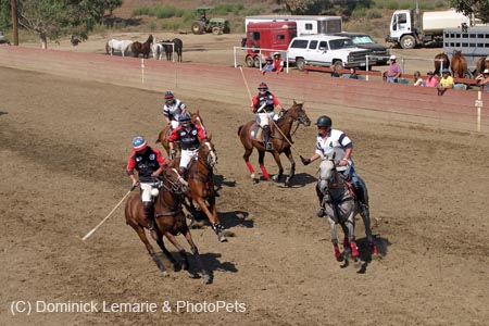 090406-Polo-0634