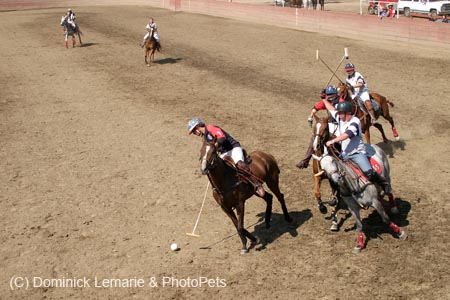 090406-Polo-0635