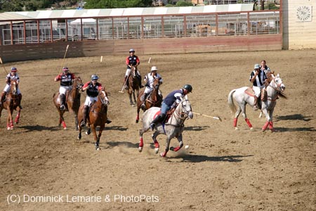 090406-Polo-0637