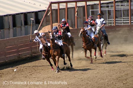 090406-Polo-0638