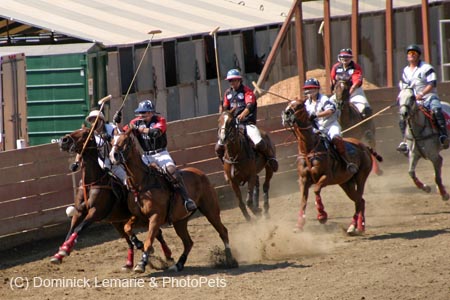 090406-Polo-0639