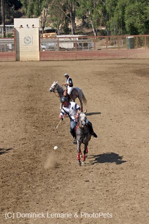 090406-Polo-0644