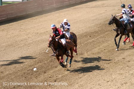 090406-Polo-0645