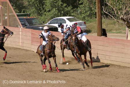 090406-Polo-0647