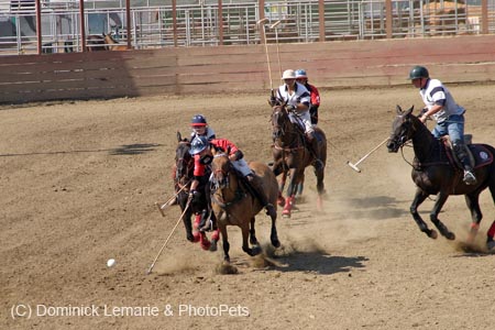 090406-Polo-0648