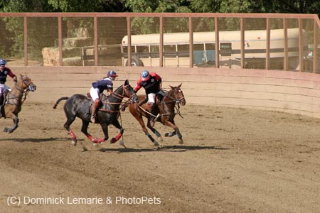 090406-Polo-0650