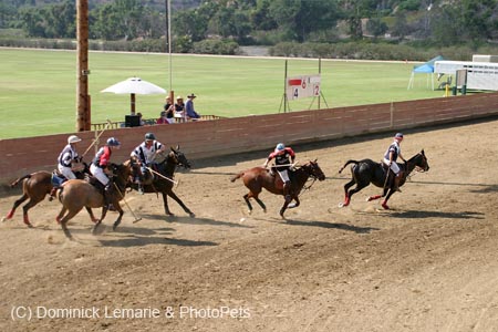 090406-Polo-0652