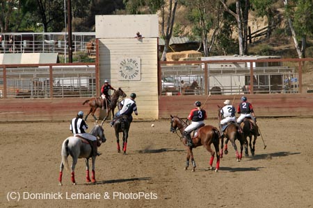 090406-Polo-0656