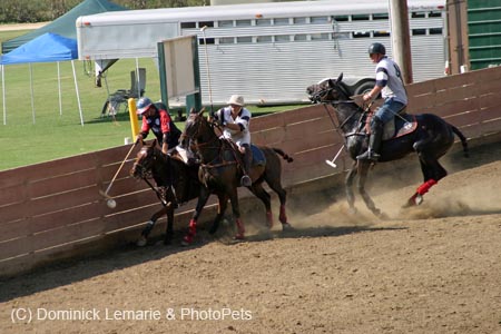 090406-Polo-0658