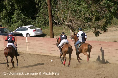 090406-Polo-0663
