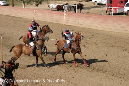 090406-Polo-0664
