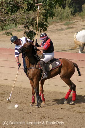 090406-Polo-0665