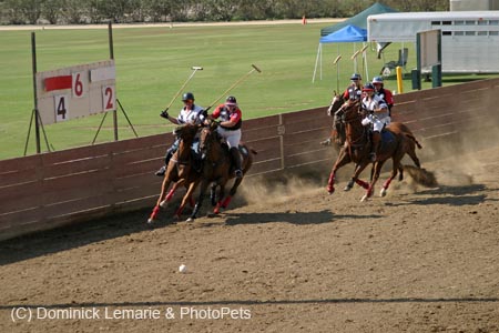 090406-Polo-0669
