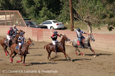 090406-Polo-0675