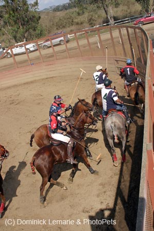 090406-Polo-0679