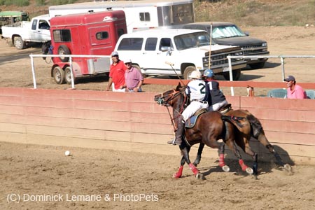 090406-Polo-0680