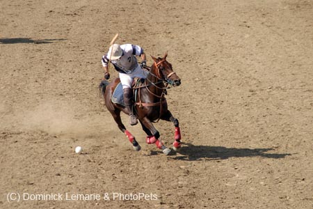090406-Polo-0685