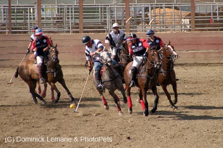 090406-Polo-0687