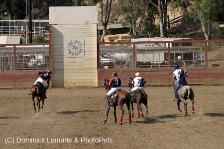 090406-Polo-0689