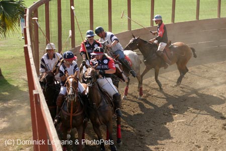 090406-Polo-0693