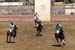 090406-Polo-0297