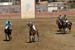 090406-Polo-0315