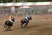 090406-Polo-0316