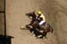 090406-Polo-0326