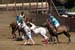 090406-Polo-0349