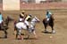 090406-Polo-0350