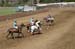 090406-Polo-0356