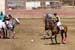 090406-Polo-0372