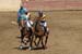 090406-Polo-0374