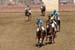 090406-Polo-0375