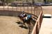 090406-Polo-0384