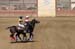 090406-Polo-0395